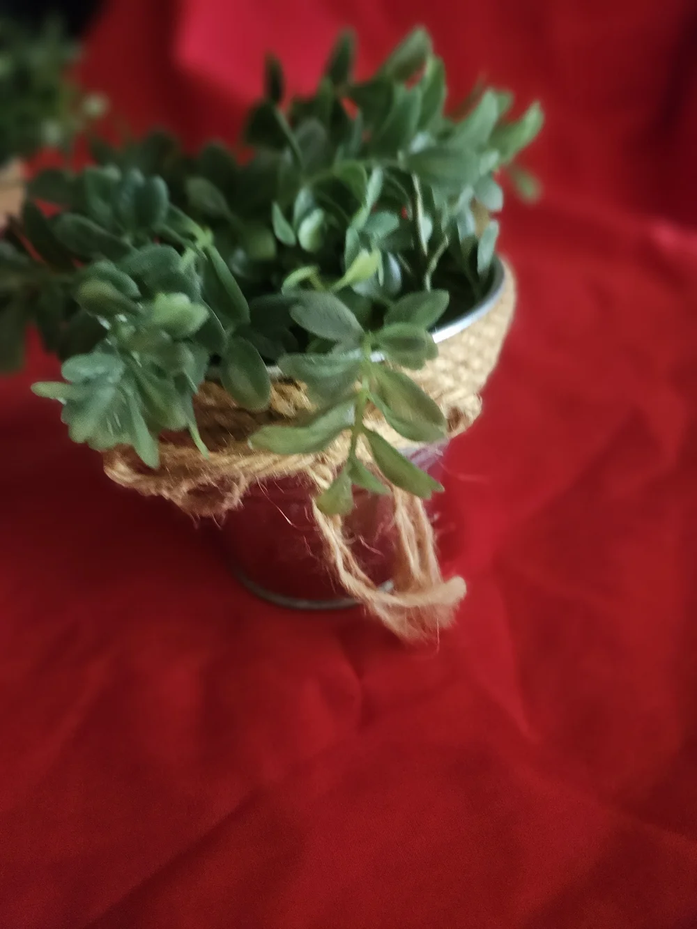 Hobby Lobby Green Faux Boxwood in Twine-Trimmed Silver Buckets